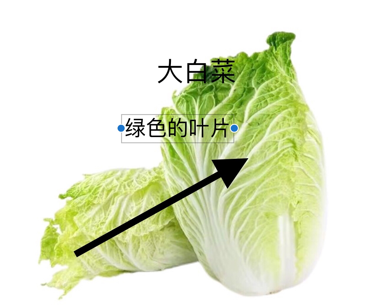 古代女性常用的装饰品蚂蚁庄园_古代女子常用的物品