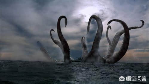 拥有10只触手的海洋生物_拥有10只触手的海洋生物有哪些