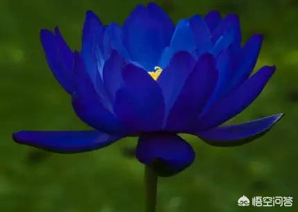 求生之路4秘籍_求生之路4秘籍代码大全