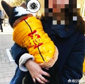 支付宝扫福图片_支付宝扫福图片大全
