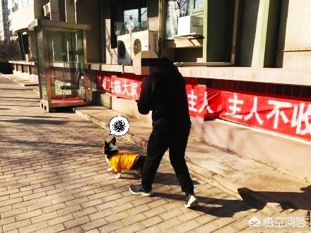 支付宝扫福图片_支付宝扫福图片大全