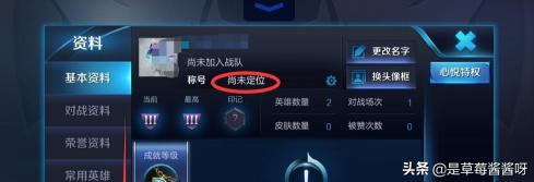 王者荣耀定位软件app_王者荣耀定位软件