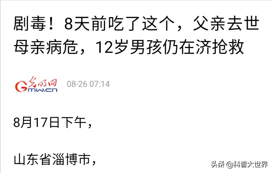 毒蘑菇显卡测试网站_毒蘑菇显卡测试网站入口