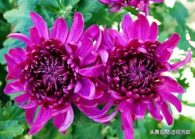 轮回之章 羽翼攻略_轮回之章羽翼攻略详细图文详解 最新章节
