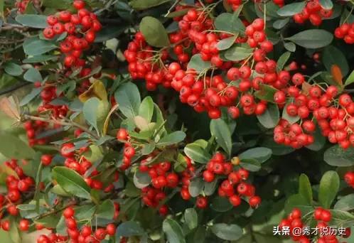 轮回之章 羽翼攻略_轮回之章羽翼攻略详细图文详解 最新章节