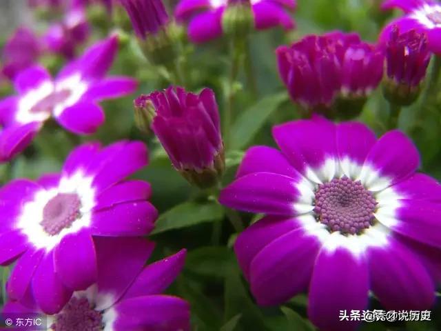 轮回之章 羽翼攻略_轮回之章羽翼攻略详细图文详解 最新章节