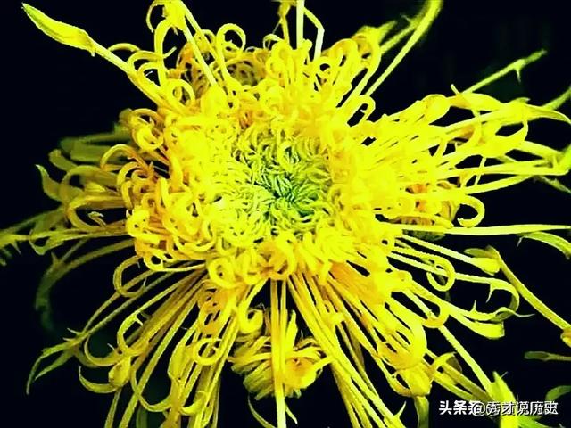 轮回之章 羽翼攻略_轮回之章羽翼攻略详细图文详解 最新章节