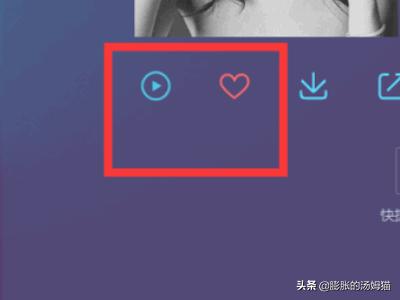 QQ音乐年度听歌报告_qq音乐年度听歌报告哪里看