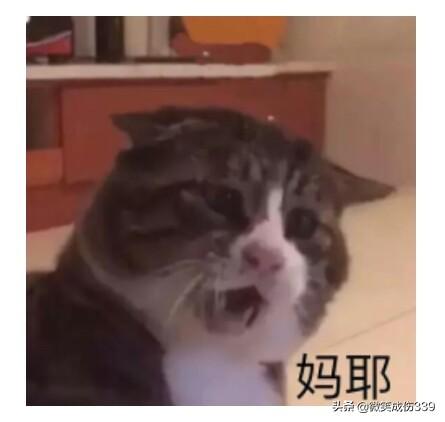蔡徐坤偷袭珍珠港_蔡徐坤偷袭珍珠港视频