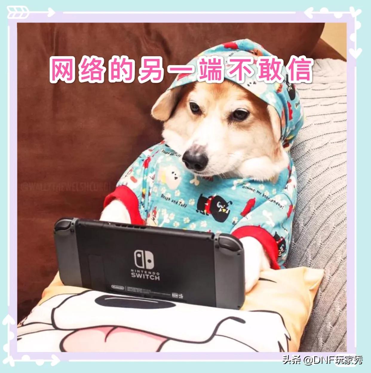 dnf基友网_dnf基友网还在不在了?