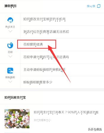 花呗提前还款在哪里_花呗提前还款在哪里操作