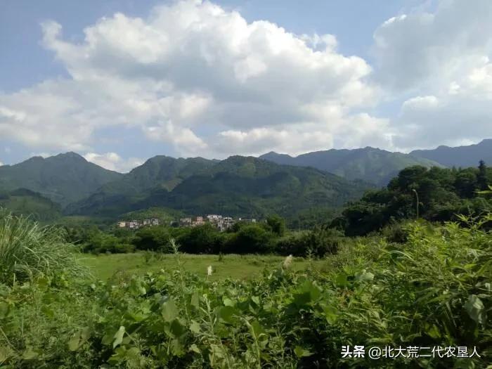 网友建议专家“不要建议”_专家建议表情包