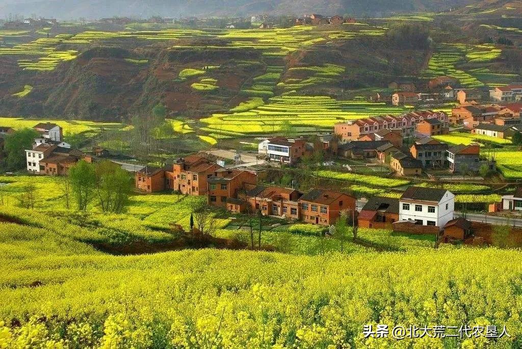 网友建议专家“不要建议”_专家建议表情包