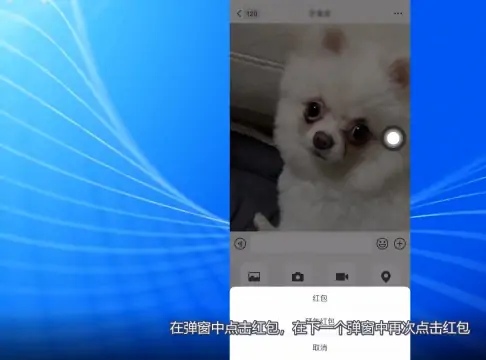 2020微信红包封面领取序列号_2020微信红包封面领取序列号王者荣耀