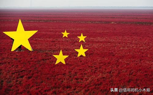 不付费看网站的软件_不付费看网站的软件甜豆