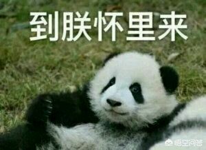 船上没有轮子_船上没有轮子,为啥还叫轮船