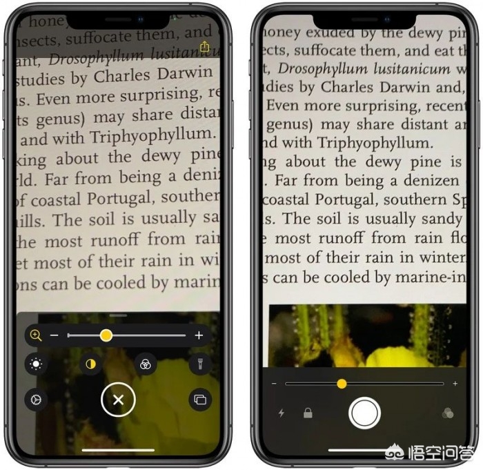 ios14新功能_iOS14新功能