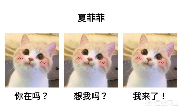 拿来吧你表情包_拿来吧你表情包图片
