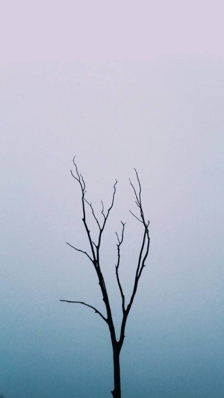 抖音最火壁纸_剑来抖音最火壁纸