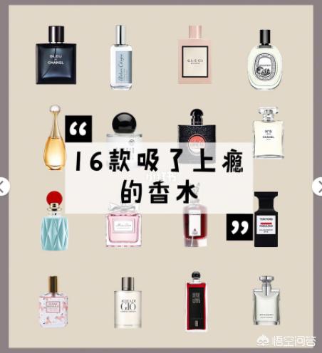 我为我姐举大旗文案_我为我姐举大旗文案完整