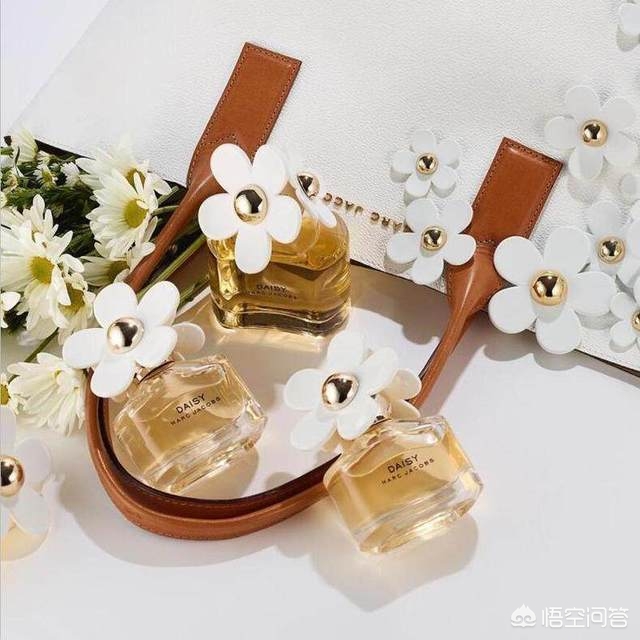 我为我姐举大旗文案_我为我姐举大旗文案完整