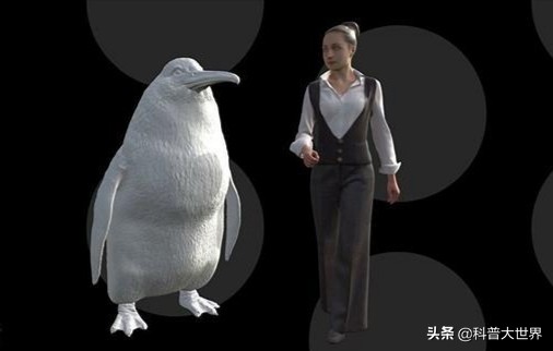 世界上体型最大的企鹅是什么_世界上体型最大的企鹅是什么企鹅