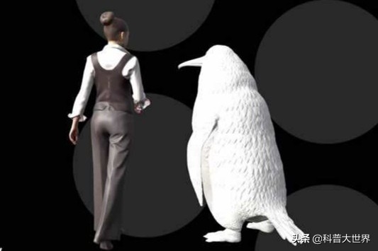 世界上体型最大的企鹅是什么_世界上体型最大的企鹅是什么企鹅