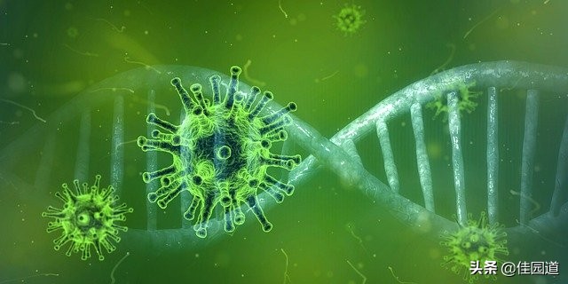 通过新冠核酸检测得出的阴性结果_通过新冠核酸检测出来的阴性结果