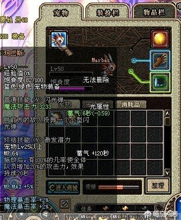 dnf新宠物_dnf新宠物啥时候出