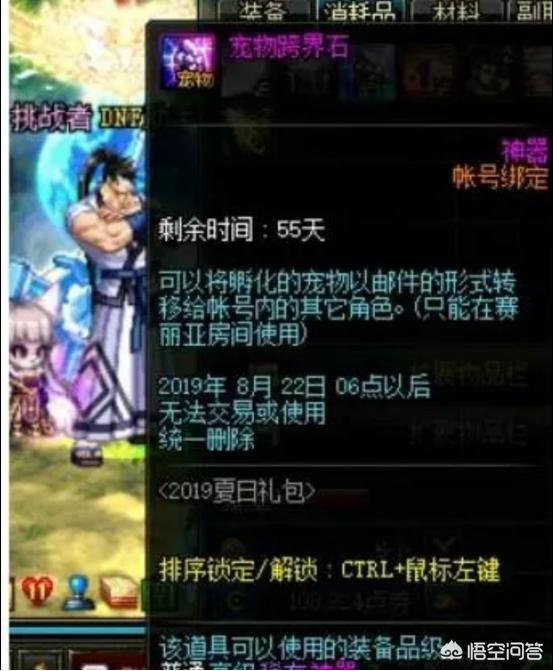 dnf新宠物_dnf新宠物啥时候出