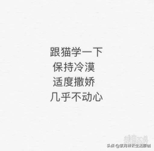 麻豆网站_麻豆
