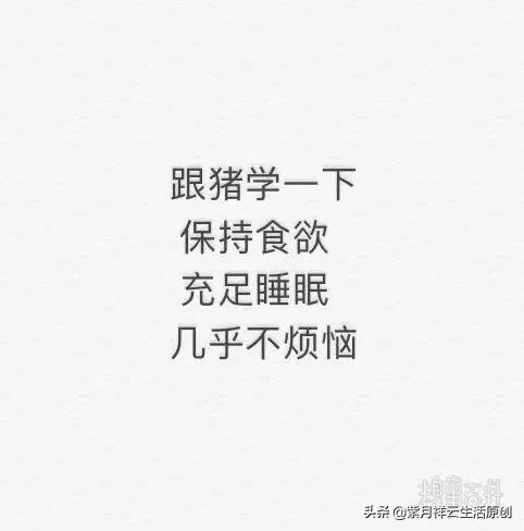 麻豆网站_麻豆