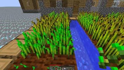 我的世界1.1_我的世界1.12.2