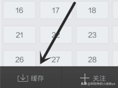 搜狐视频如何下载_搜狐视频如何下载到电脑