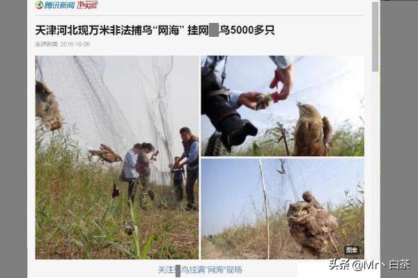腾讯新闻视频_腾讯新闻视频怎么下载