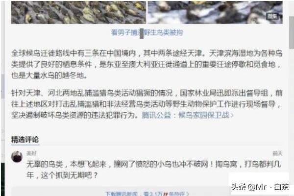 腾讯新闻视频_腾讯新闻视频怎么下载