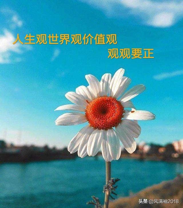 罗志祥421什么意思_罗志祥421是什么意思