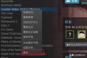 cs go 国服_csgo国服启动代码