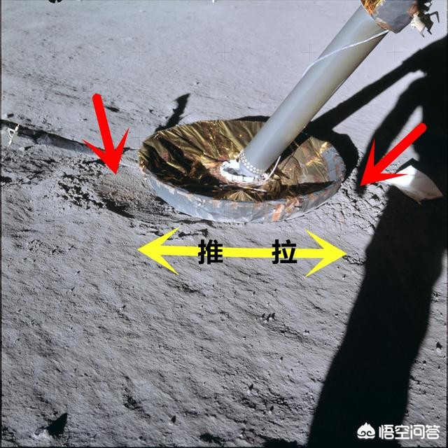 自然状态下月球上能不能种菜_自然状态下月球上可不可以种菜