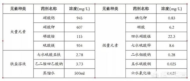 自然状态下月球上能不能种菜_自然状态下月球上可不可以种菜