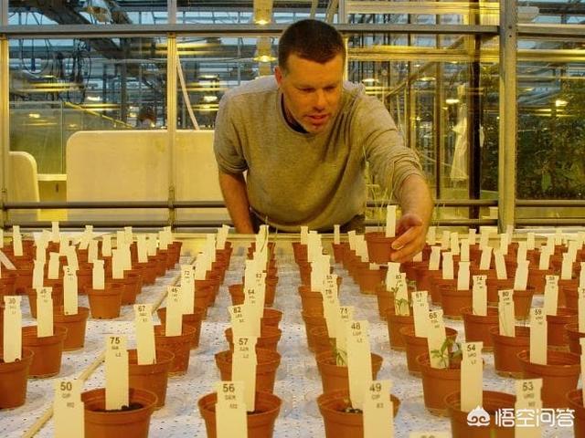 自然状态下月球上能不能种菜_自然状态下月球上可不可以种菜