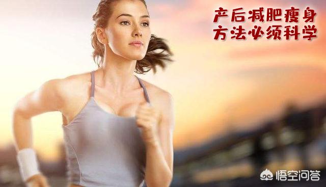 为何三伏天是最佳减肥时期_为何三伏天是最佳减肥时期呢