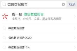 聊天记录分析报告_聊天记录分析报告怎么弄