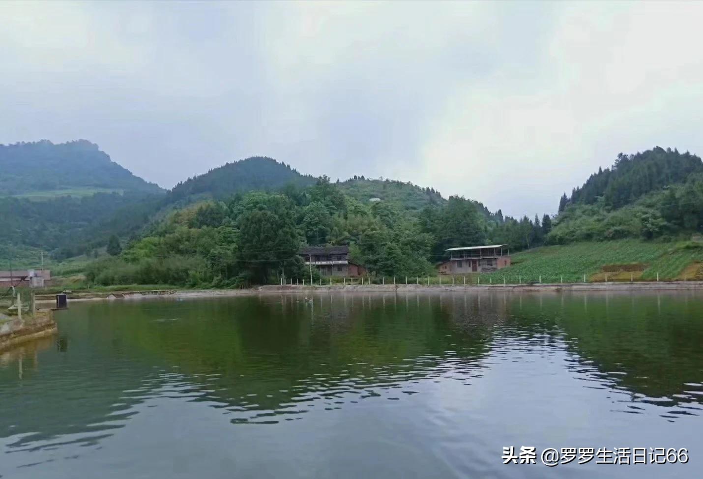 聊天记录分析报告_聊天记录分析报告怎么弄
