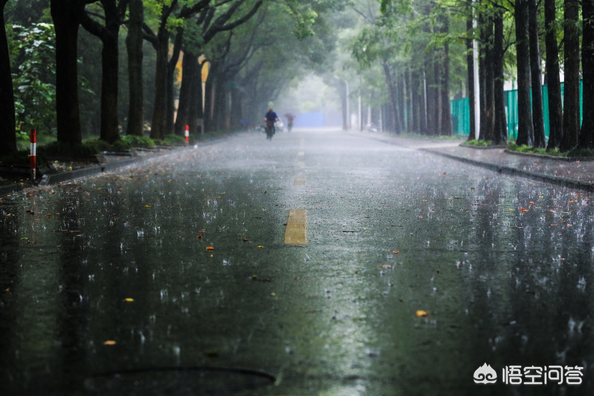 雨后的小故事2_雨后的小故事2全集闪图
