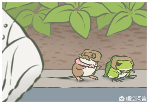 旅行青蛙蜗牛爱吃什么_