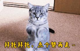 真人版lol_真人版lol什么意思