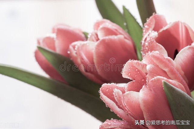 dnf绝望之塔极致冒险_dnf绝望之塔极致冒险怎么玩