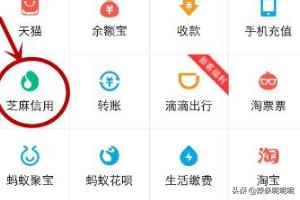 芝麻信用怎么获得芝麻粒_芝麻信用怎么获得芝麻粒啊