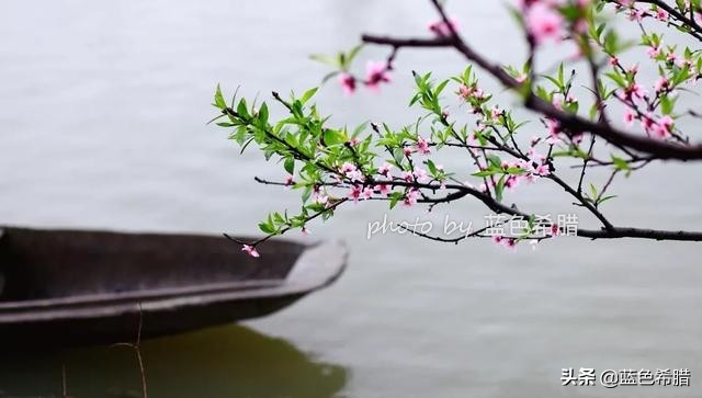 厨房的春潮带雨晚来急_厨房春潮带雨晚来急电影